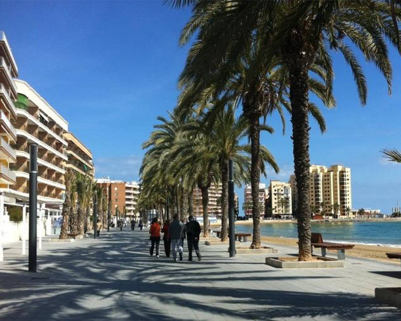New Build - Apartments - Torrevieja - Playa Del Cura